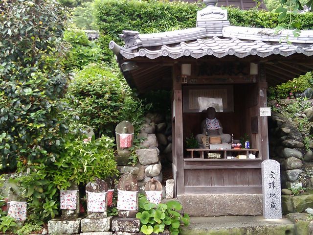 ����n��_�S�M��