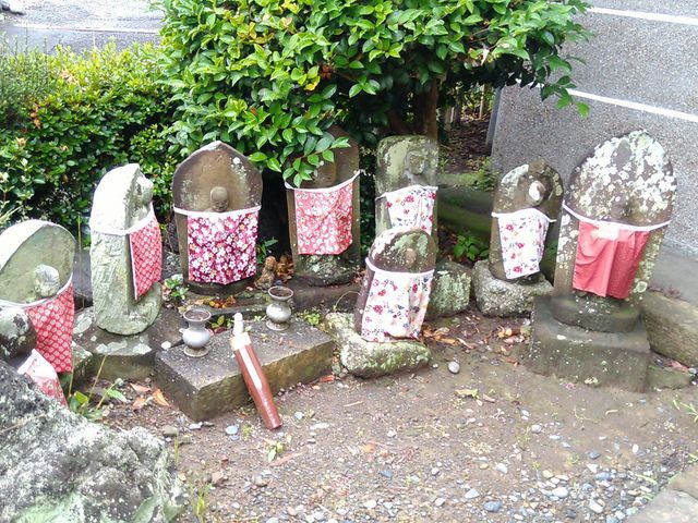 �n��_�S�M��