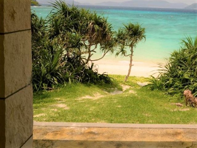 �n�Îu�v�r�[�`�ɂ������W�]�䉺����̒���_�n�Îu�v�r�[�`