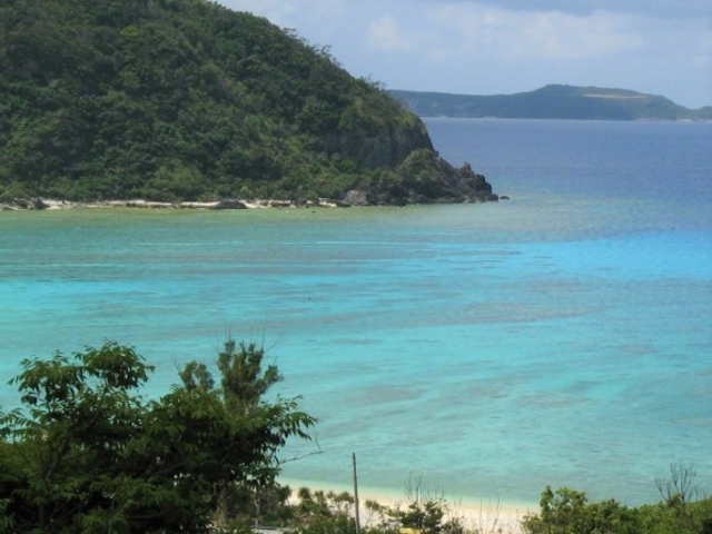 ���ȍ��l�ɓ����ʂ����G�������h�O���[���ƃR�o���g�u���[�̊C����ۓI_�n�Îu�v�r�[�`