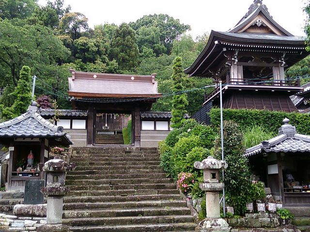 ����_�S�M��