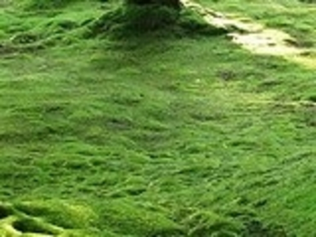 ���F��_���F��