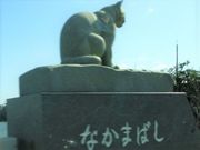 sumi����̒��Ԑ�̓��e�ʐ^1