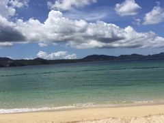 11121I̐Xr[`ւ̓eʐ^1