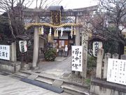 ܂[񂳂̐ΓV{̓eʐ^1