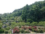 񂿂񂳂̈Ɋ򍲐S̓eʐ^1