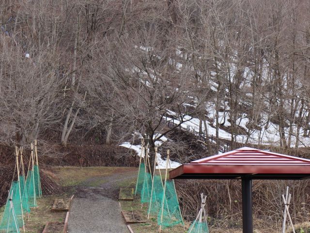 �K�i�o���_���{��̃Y���R�K�i