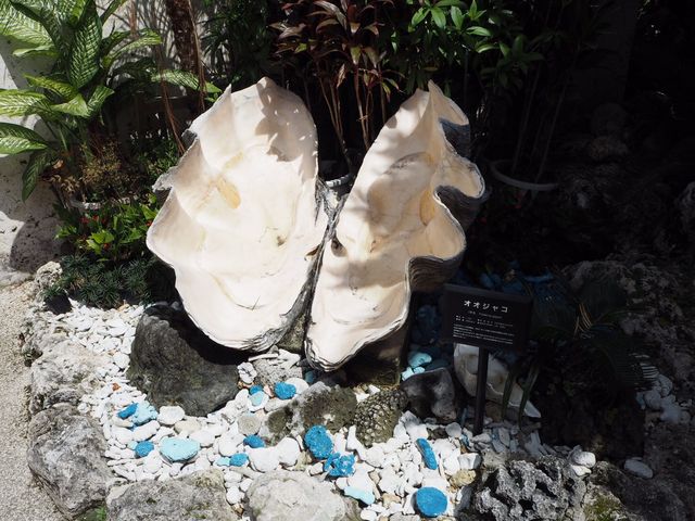 �{���̑傫�ȊL_��ʓ��Ί_��`