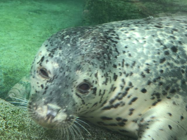 �����Ƒ��ɋ��܂����B_�~�R������