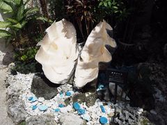 ���肳��̓�ʓ��Ί_��`�ւ̓��e�ʐ^1