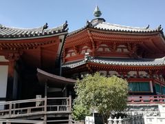 DoubleO7����ٍ̒㎛���p�~���ٍ㎛���p�~���ւ̓��e�ʐ^1