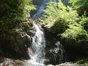 yuyuta̔̑iQsj̓eʐ^1