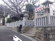 ܂[񂳂̈{_Ђ̓eʐ^1