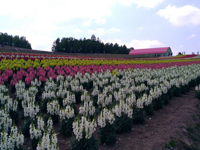 �Ԕ�_�l�G�ʂ̋u