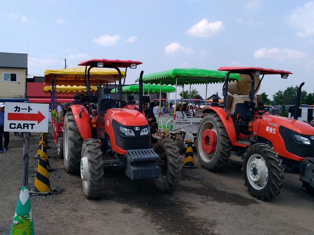 �g���N�^�[�o�X_�l�G�ʂ̋u