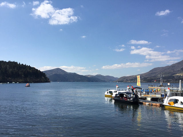 �U��Ԃ�΂������m��_�����w�`�~���[�W�A��