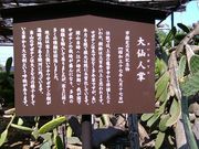 ����ς炳��̗��؎��̃T�{�e���̓��e�ʐ^1