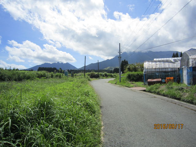 �J�b�v���Y����̌i�F_�ʎ��̍� �J�b�v���Y