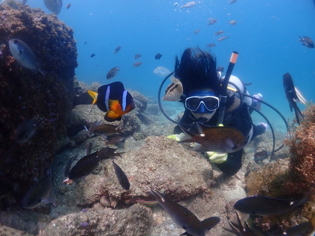 ő̌_CrO__CuVbv@X}C[Y