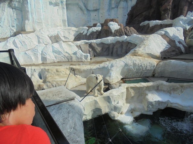 �z�b�L���N�O�}_��쓮���� �z�b�L���N�O�}