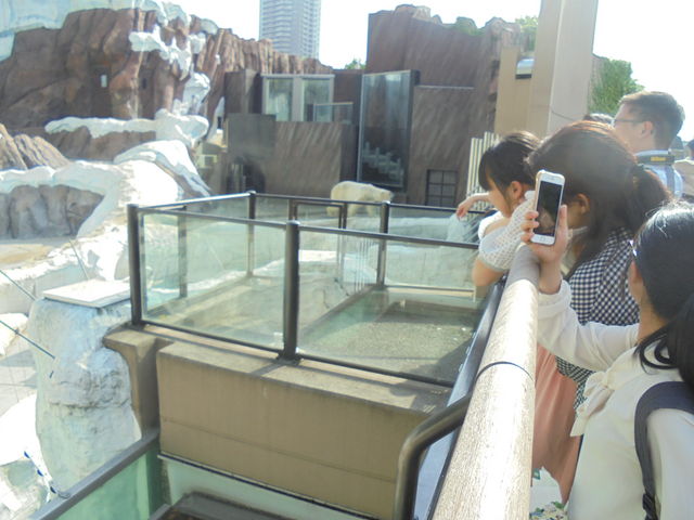 �z�b�L���N�O�} 2_��쓮���� �z�b�L���N�O�}