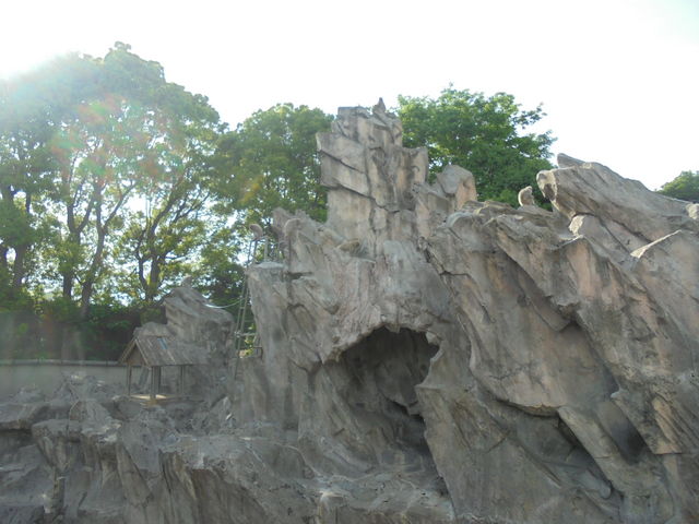 ��쓮���� �T���R_��쓮���� �T���R