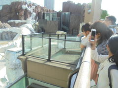 ̏쓮 zbLNO}ւ̓eʐ^2