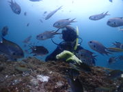 ق̃_CuVbv@X}C[Y̓eʐ^2