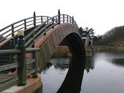 �L���^�J����̕����̕��킽������̓��e�ʐ^1