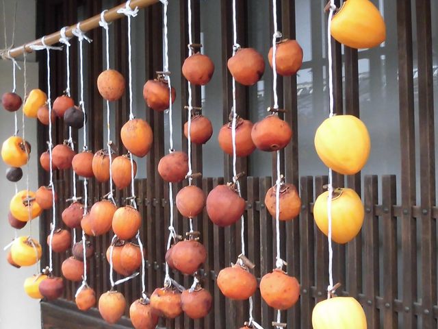 �C_�����s�E�썑�̒�����