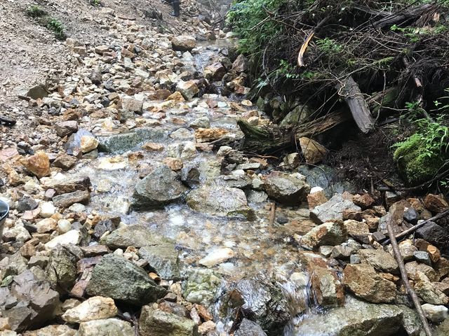 ȑ≡ɂɂ₩ȊRō̎悵܂B_Rό