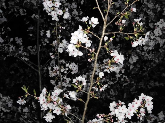 �A_��t���