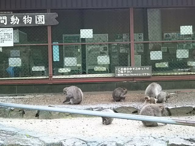 �D�z�R_�D�z�R��莛�����L�[�p�[�N