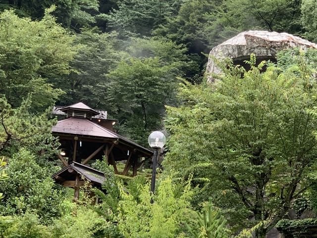 ���t���b�V���p�[�N��ނ�