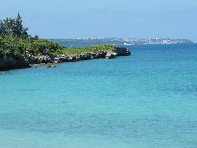 �G�������h�O���[���̔������C_�p�C�i�K�}�r�[�`