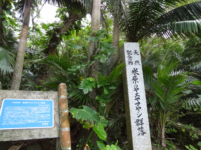 �ڂ����ē�����������܂�_�Č��̃��G���}���V�Q��