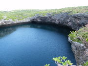 �g�����\����̒ʂ�r�̓��e�ʐ^1