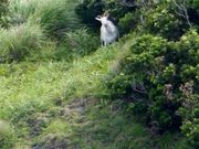 ÐhF̃EiWmT`W]̓eʐ^3