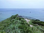 �Ðh�F����̃`�V�W�]��̓��e�ʐ^1