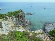 �Ðh�F����̃`�V�W�]��̓��e�ʐ^3