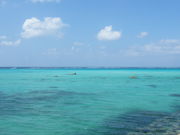 �g�����\����̒��̓��r�[�`�̓��e�ʐ^1