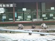 ЂЂ悳̑DzR莛L[p[N̓eʐ^1