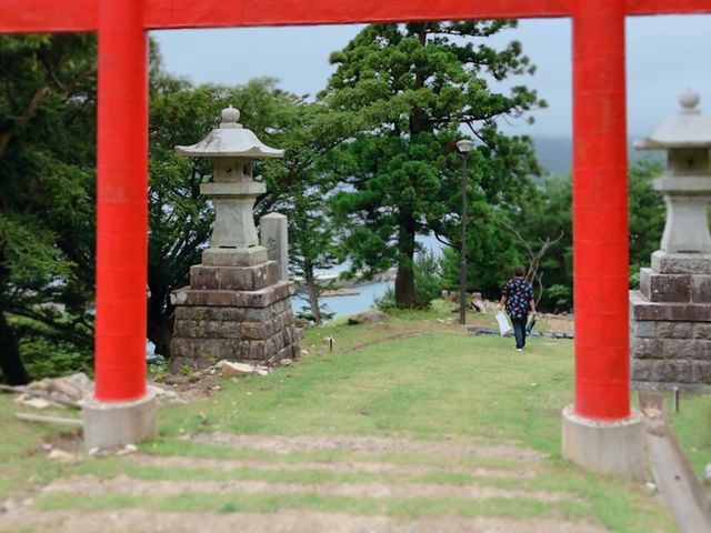 �A��̓r����_���؎R