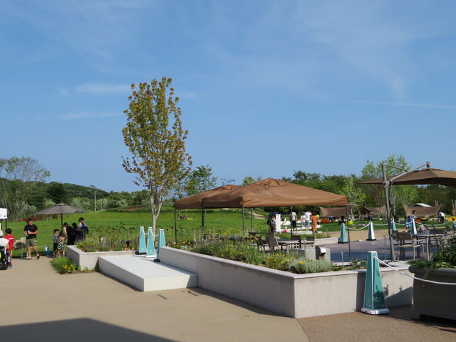 ̐lVł܂_i`XLPAH@i`̐X