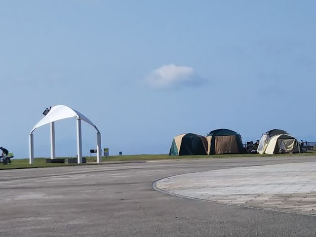 �C���C���������ł�_�L�Y�C�l����