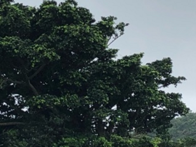 �Â�_�z�K�_��