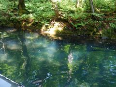 inãBgJ̓]ւ̓eʐ^1