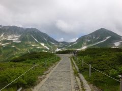 �j�R����񂳂�̗��R�����ւ̓��e�ʐ^1