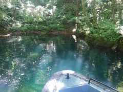 񂳂̃BgJ̓]ւ̓eʐ^1