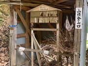 �X�^�[����̋v���R�V�����̓��e�ʐ^1